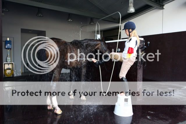 Horse6pic.jpg