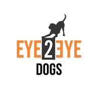 www.eye2eyedogs.com